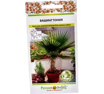 Семена РУССКИЙ ОГОРОД Цветы Пальма Вашингтония 4 шт. 732185