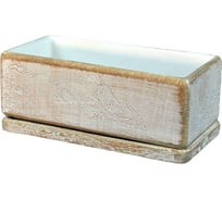 Горшок с поддоном Сады Аурики керам Кактусник 24х12х9 см, светло-коричневый 052544