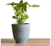 Кашпо керамика Scheurich Vintage d14см h14см черный 073373