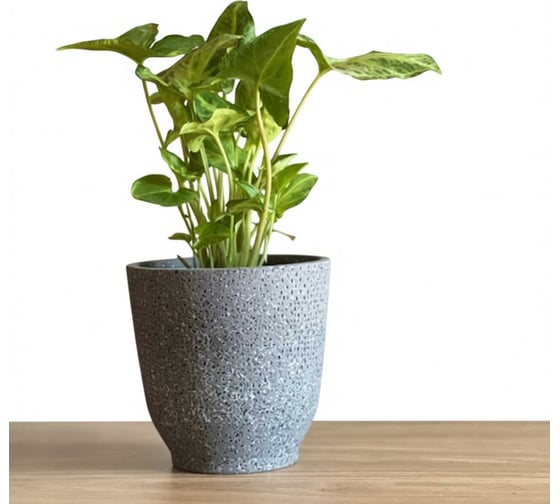 Кашпо керамика Scheurich Vintage d14см h14см черный 073373 1