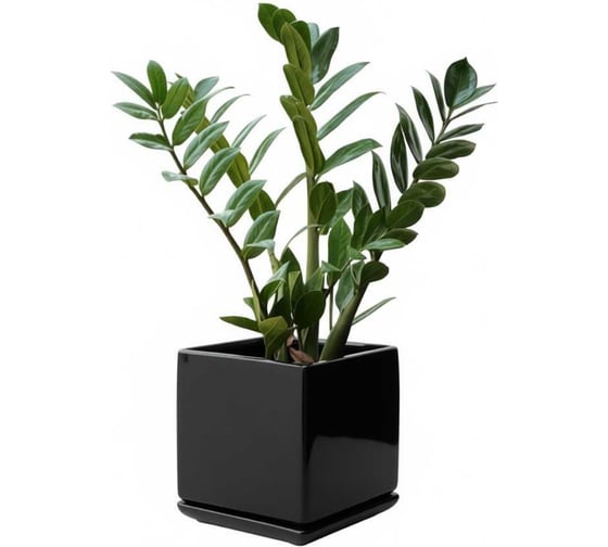 Кашпо керамика Scheurich с поддоном Barcelona d17см h17см черный 073376 1