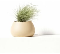 Кашпо пластик Scheurich Evolia d60см d50см h38см 23л песочный 072664