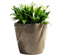 Кашпо Ola Dom DELUXE круглое 42 литра (мокко) 495х495х465мм 073752