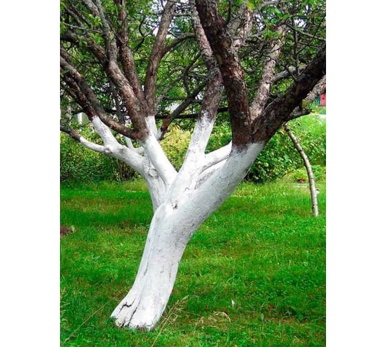 Краска ВД фасадная для садовых деревьев Wagner 14 кг ksadwag14 1