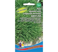 Семена Уральский Дачник лук душистый Джусай 0.25 г 4627172217652