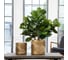 Напольное кашпо IDEALIST Lite Лист 31х31 см, 23.4 л LEAF-R-31-GLD 7