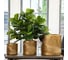 Напольное кашпо IDEALIST Lite Лист 31х31 см, 23.4 л LEAF-R-31-GLD 9