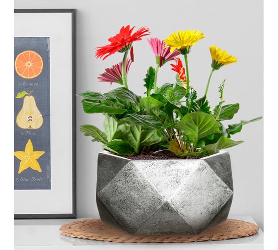 Настольное кашпо для цветов IDEALIST Lite Геометри Чаша, 30х30х15 см, 10 л DBOWL30-SLV