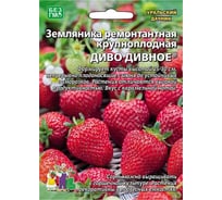 Семена Уральский дачник земляника ремонтантная Диво дивное 4627172215139