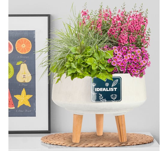Настольное кашпо на ножках IDEALIST Lite Уайд Чаша, 33х25 см, 9.8 л WBOWL33-AW
