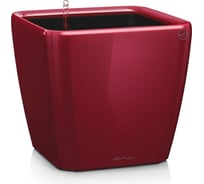 Напольное кашпо с системой полива и съемным горшком Lechuza Quadro 50 LS красное 16287
