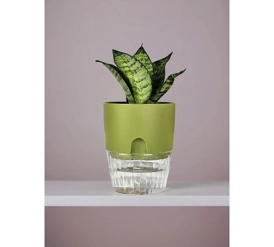 Горшок Аласта Аквадуэт, D13,0, 1,5 л, папоротник с поддоном 5PL0774 1