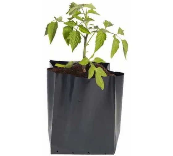 Пакет для рассады ЛЕТО, ПЭТ, 2 л, 20×27 см (Ø 13 см, h 20 см), 50 шт 90648 1