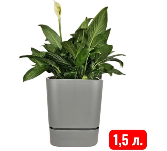 Горшок Аласта Квадрат Гранд, 12,5х12,5х12,5, 1.5 л, серый-муссон 5PL0779