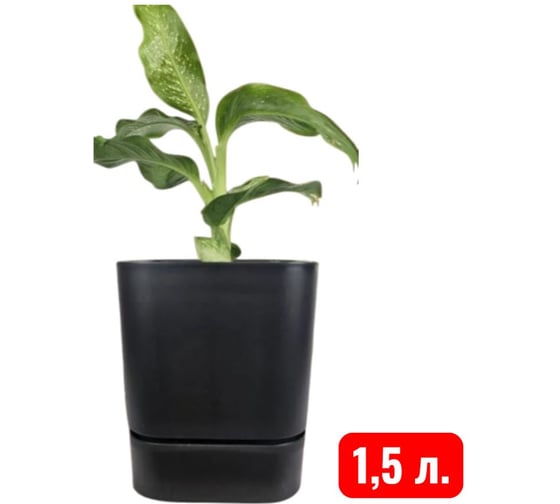 Горшок Аласта Квадрат Гранд, 12.5х12.5х12.5, 1.5 л, черный 5PL0780
