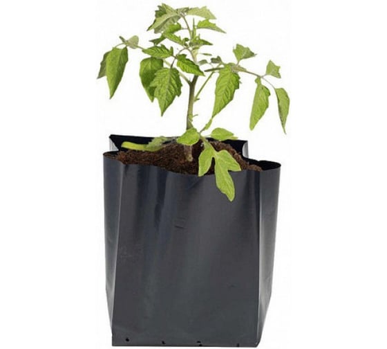 Пакет для рассады ЛЕТО, ПЭТ, 0.25 л, 10×14 см (Ø 6 см, h 10 см), 150 шт 91106