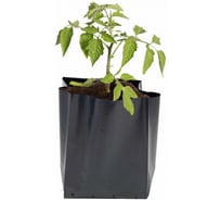 Пакет для рассады ЛЕТО, ПЭТ, 1 л, 8×20 см (10×15 см), 80 шт (26428) 96506