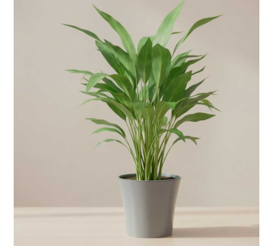 Горшок ФлораПласт АРТЕ 5 л, серый, d-22; h-20 см 074799