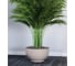Кашпо FormPlastic 4391 011 Misa Satina Eco 39х21.6 см, 19.2 л, белое 065172 1