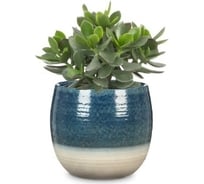 Кашпо Scheurich 765 Blue Allure керамика, диам. 18 см, сине-серое 058224