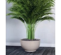 Кашпо FormPlastic 4386 011 Misa Satina Eco 30х20 см, 7.6 л, белое 065163