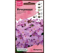 Семена Агросидстрейд Вечерница Матроны Ночная фиалка 0.2 г АСТ 122818
