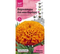 Семена Агросидстрейд Бархатцы Тайшань оранжевый для миксбордера, 5 шт. АСТ 120979