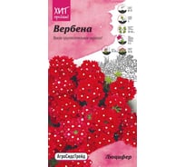 Семена Агросидстрейд Вербена Люцифер для бордюра, 0.05 г АСТ 122817