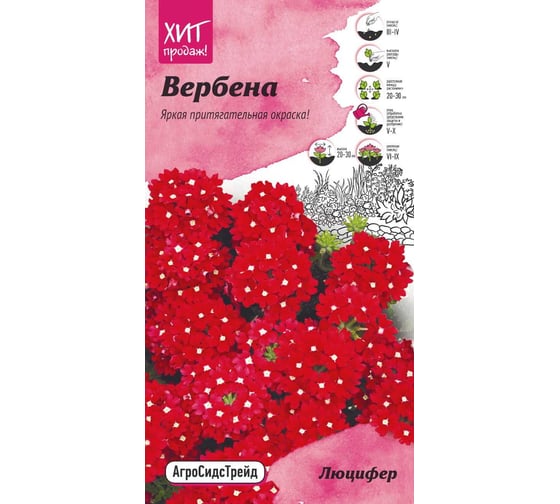 Семена Агросидстрейд Вербена Люцифер для бордюра, 0.05 г АСТ 122817 1
