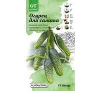 Семена Агросидстрейд Огурец Бонус F1 для салата 7 шт. АСТ 121357