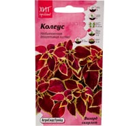 Семена Агросидстрейд Колеус Визард скарлет 10 шт. АСТ 122821