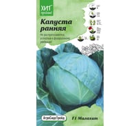 Семена Агросидстрейд Капуста белокочанная Малахит F1 ранняя, 0.15 г АСТ 121338