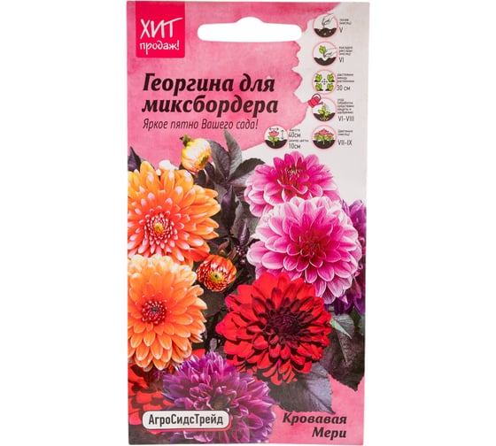 Семена Агросидстрейд Георгина Кровавая Мери для миксбордера, 0.1 г АСТ 121321