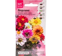 Семена Агросидстрейд Георгина Бронзовая смесь для бордюра, 0.1 г АСТ 122819