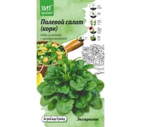 Семена Агросидстрейд Салат полевой (корн) Экспромт 0.5 г АСТ 120972
