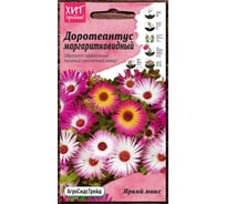 Семена Агросидстрейд Доротеантус маргаритковидный Яркий микс, 0.1 г АСТ 122820