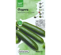 Семена Агросидстрейд Огурец Хайп F1 5 шт. АСТ 122952