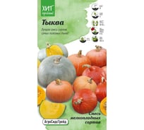 Семена Агросидстрейд Тыква смесь мелкоплодных сортов 2 г АСТ 122814