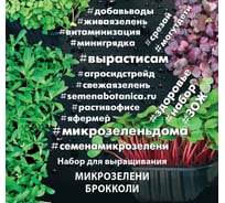 Набор для выращивания микрозелени Агросидстрейд Брокколи 4.5 г АСТ 123038
