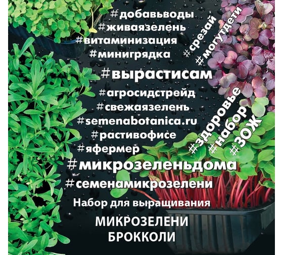 Набор для выращивания микрозелени Агросидстрейд Брокколи 4.5 г АСТ 123038 1