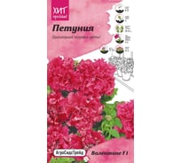 Семена Агросидстрейд Петуния махровая Валентине 10 шт. АСТ 122828
