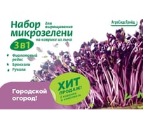 Набор для выращивания микрозелени 3 в 1 Агросидстрейд Фиолетовый редис, Брокколи, Рукола АСТ 124937
