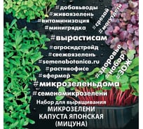 Набор для выращивания микрозелени Агросидстрейд Капуста японская (мицуна) 3 г АСТ 123039