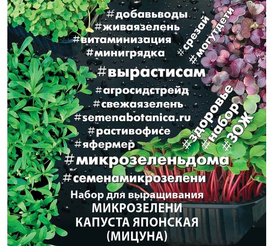Набор для выращивания микрозелени Агросидстрейд Капуста японская (мицуна) 3 г АСТ 123039 1