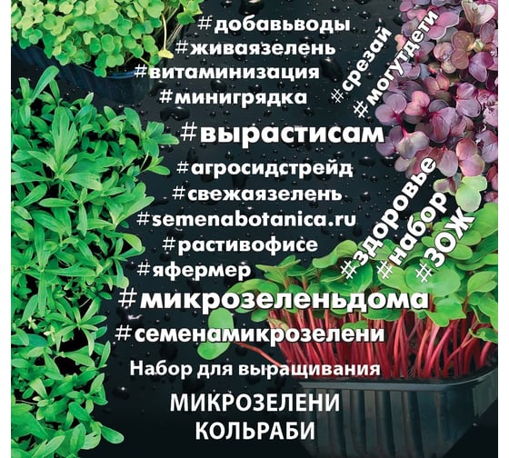 Набор для выращивания микрозелени Агросидстрейд Кольраби 3.5 г АСТ 123041 1