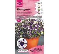 Семена Агросидстрейд Петуния Шок Вейв Пурпл Тай Дай 5 шт. АСТ 122829