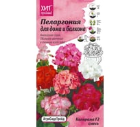 Семена Агросидстрейд Пеларгония Колорама F2 Смесь для дома и балкона 5 шт. АСТ 121369