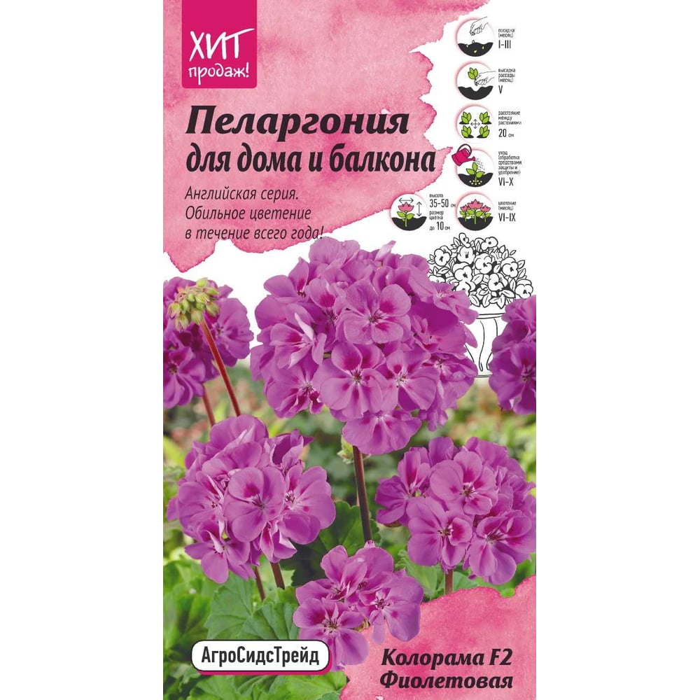 Семена Агросидстрейд Пеларгония Колорама F2 Фиолетовая для дома и ...