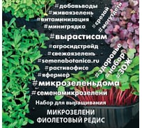 Набор для выращивания микрозелени Агросидстрейд Фиолетовый редис 5.5 г АСТ 123036