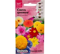 Семена Агросидстрейд Смесь цветов Саммер тайм 0.5 г АСТ 121386